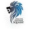 Lviv Squash League